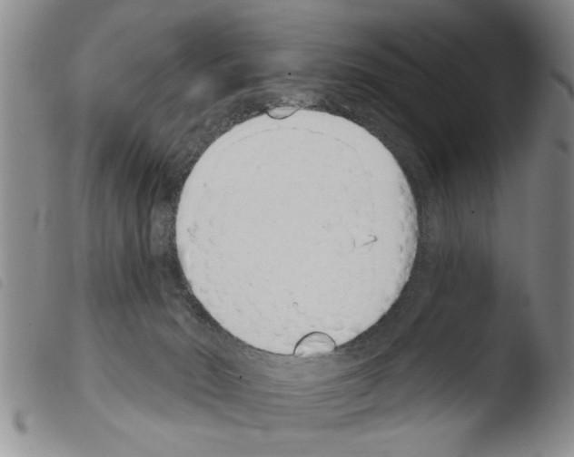 X0000103460030200810241000