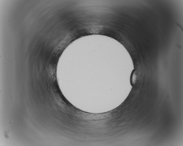 X0000103460031200810241000