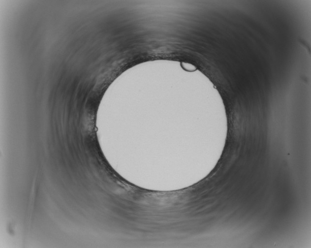 X0000103460033200810241000