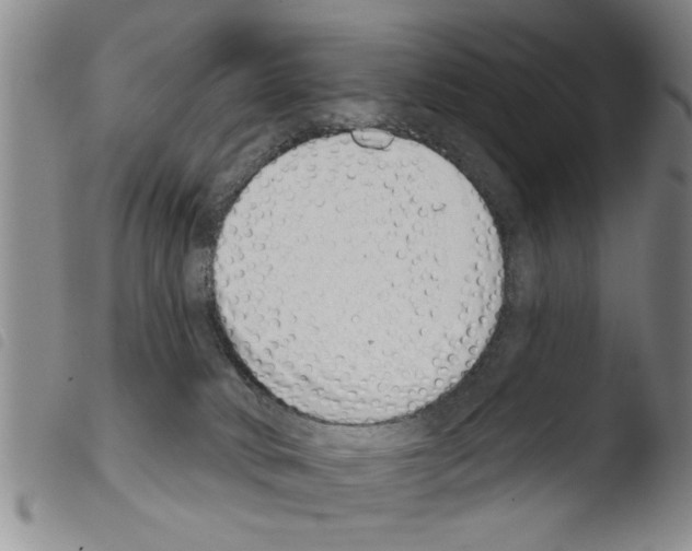 X0000103460034200810241000