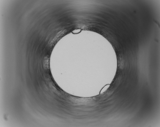 X0000103460036200810241000