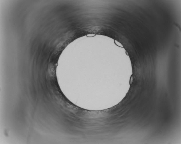 X0000103460037200810241000