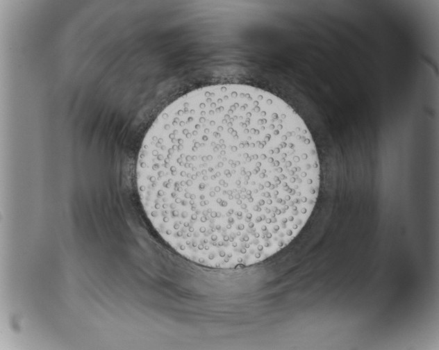 X0000103460038200810241000