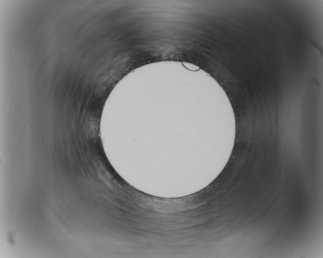 X0000103460039200810241000