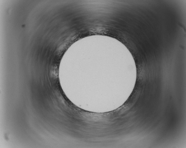 X0000103460040200810241000