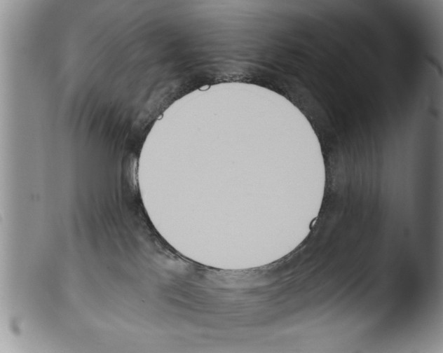 X0000103460041200810241000