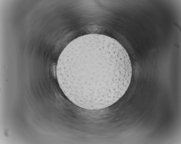 X0000103460042200810241000