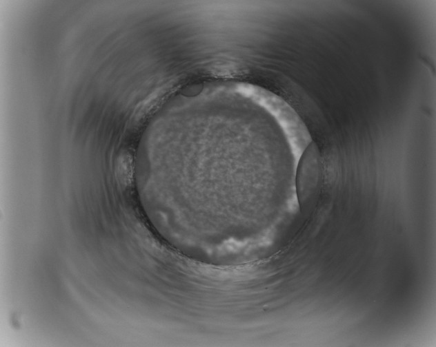 X0000103460043200810241000