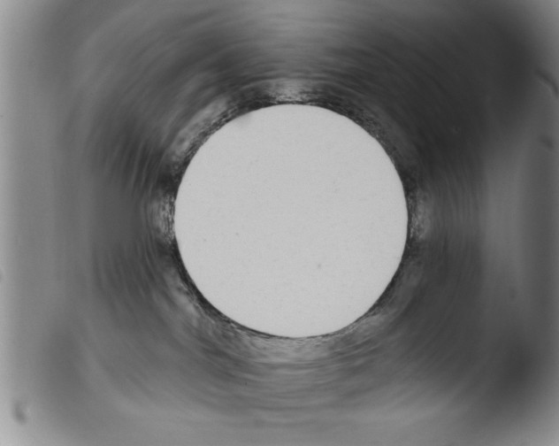 X0000103460044200810241000