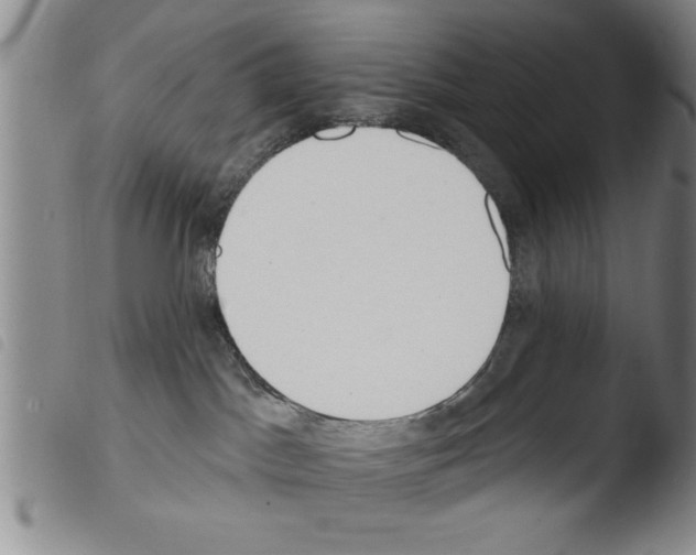 X0000103460045200810241000