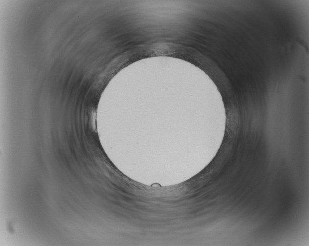 X0000103460046200810240959