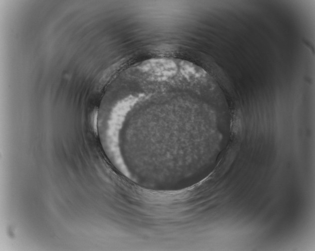 X0000103460047200810240959