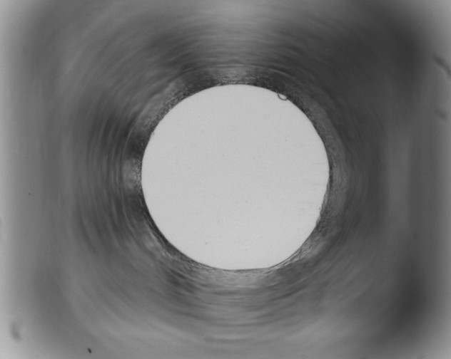 X0000103460048200810240959