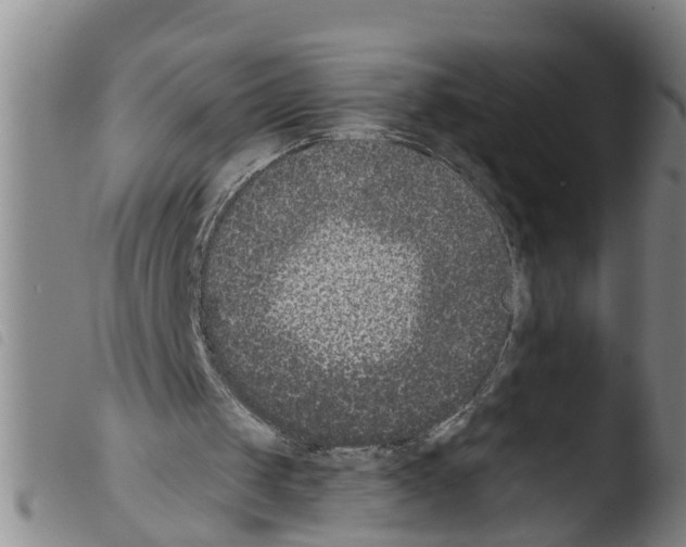 X0000103460049200810240959