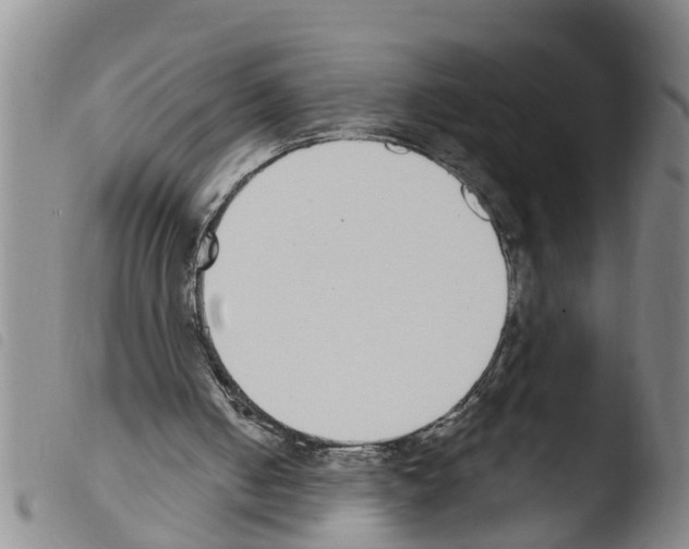 X0000103460050200810240959
