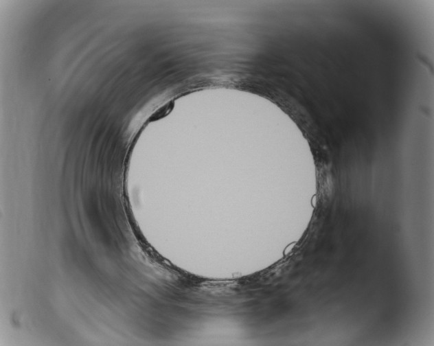 X0000103460051200810240959
