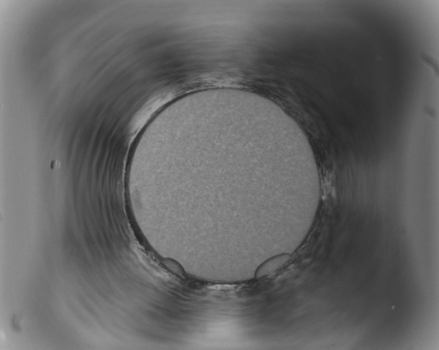 X0000103460052200810240959