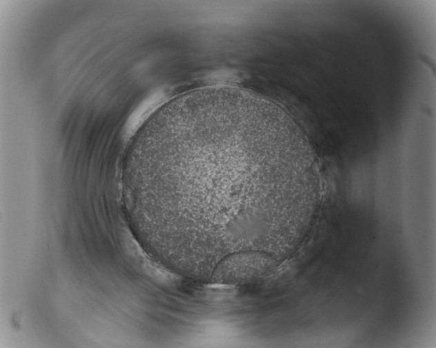 X0000103460053200810240959