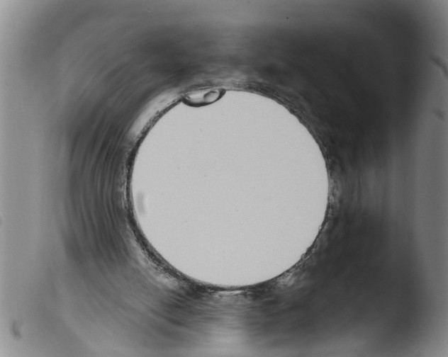 X0000103460054200810240959