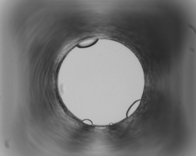 X0000103460055200810240959