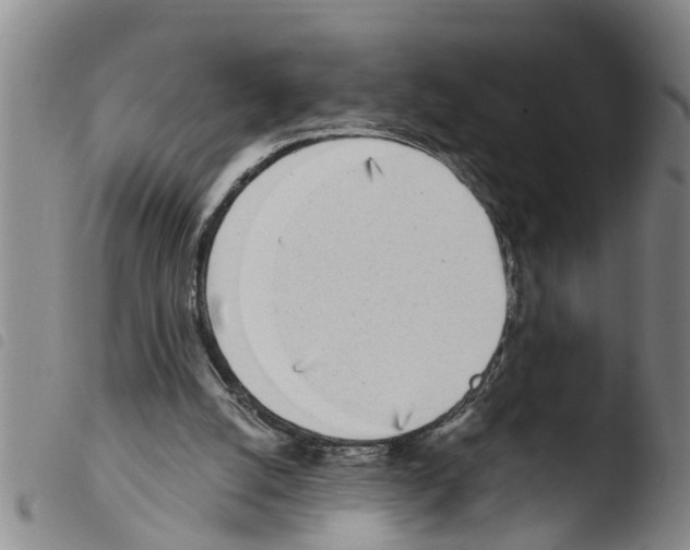 X0000103460056200810240959