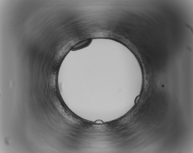 X0000103460057200810240959