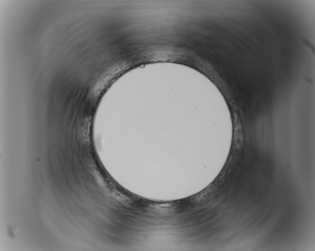 X0000103460058200810240959