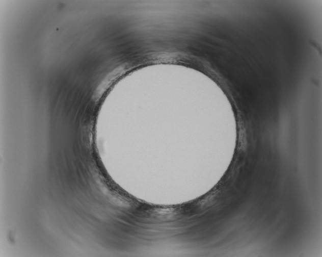 X0000103460059200810240959