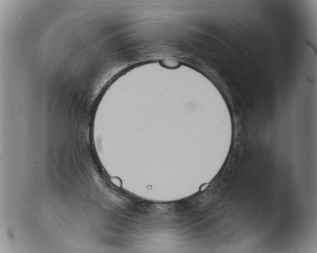 X0000103460060200810240959