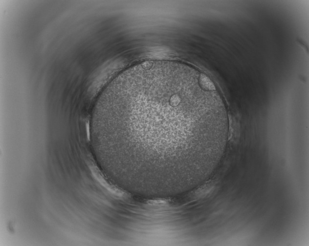 X0000103460061200810240959