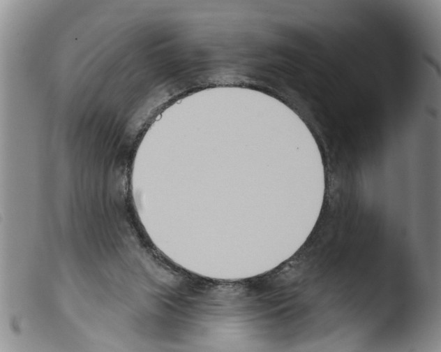 X0000103460063200810240959