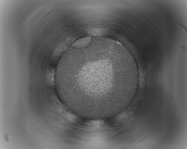 X0000103460065200810240959
