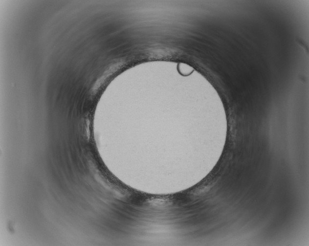 X0000103460067200810240959