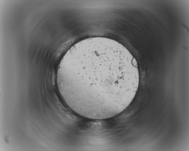 X0000103460068200810240959