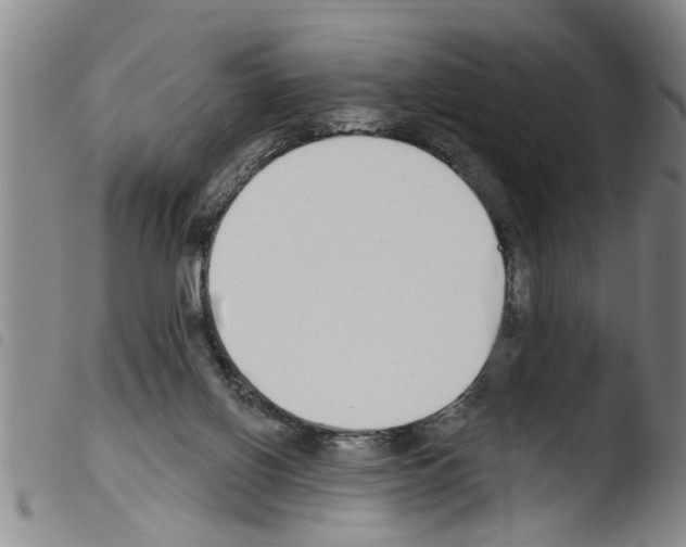 X0000103460070200810240959