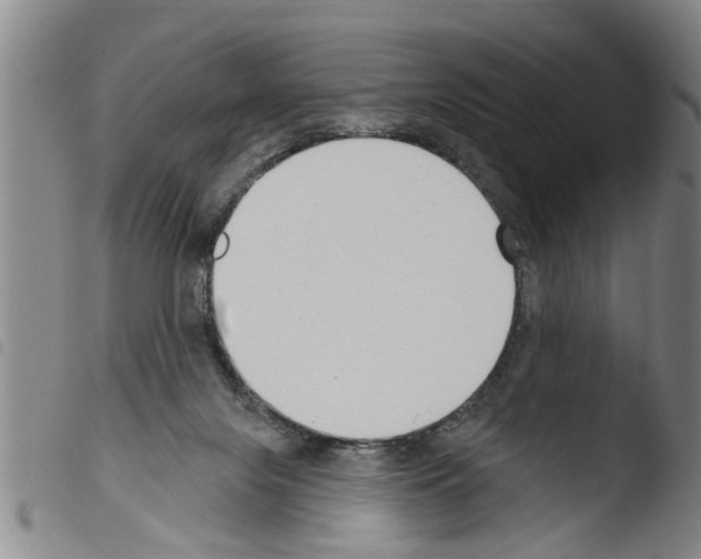 X0000103460071200810240959