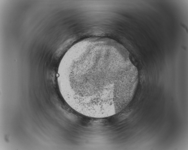 X0000103460072200810240959