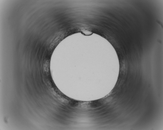 X0000103460078200810240959