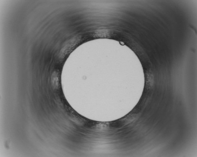 X0000103460080200810240959