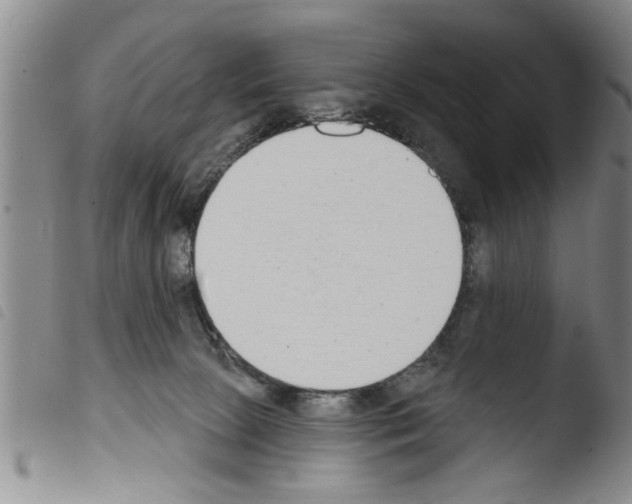 X0000103460081200810240959