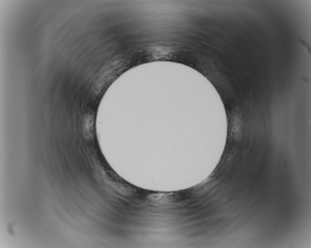 X0000103460082200810240959