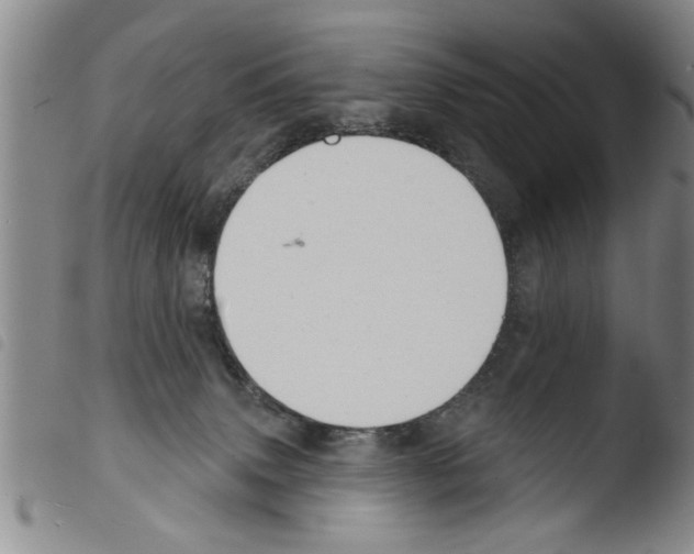 X0000103460083200810240959