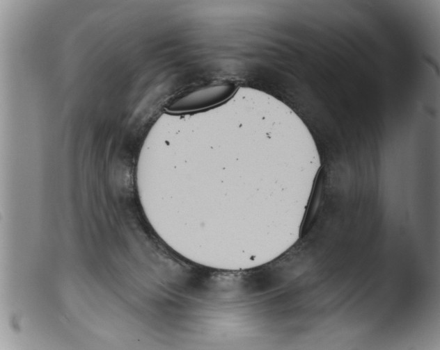 X0000103460084200810240959