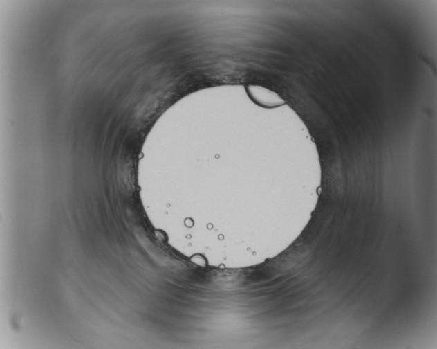 X0000103460088200810240959
