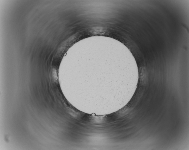X0000103460089200810240959