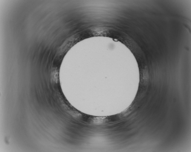 X0000103460090200810240959