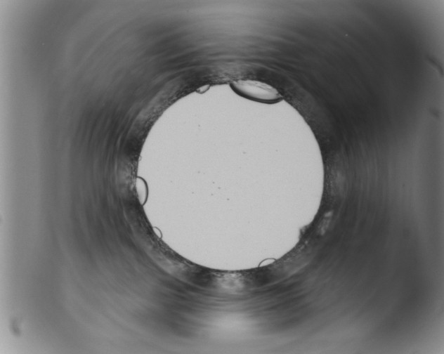 X0000103460091200810240959