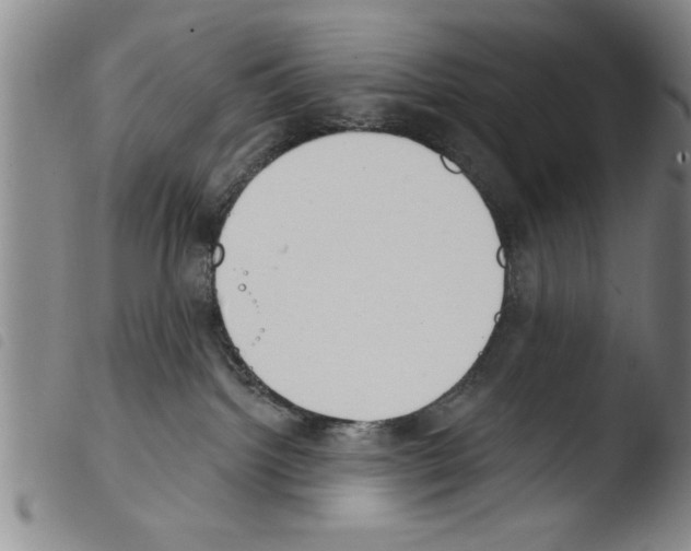 X0000103460092200810240959