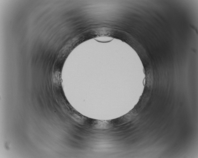 X0000103460093200810240959