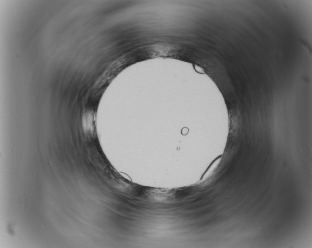 X0000103460094200810240959